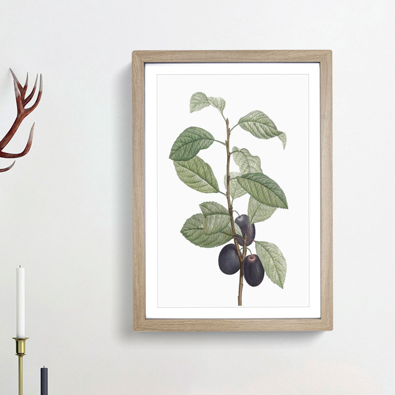 Prune Tree by Pierre-Joseph Redoute - Picture Frame Painting Print, Oak Framed, 65cm H x 48cm W x 2cm D