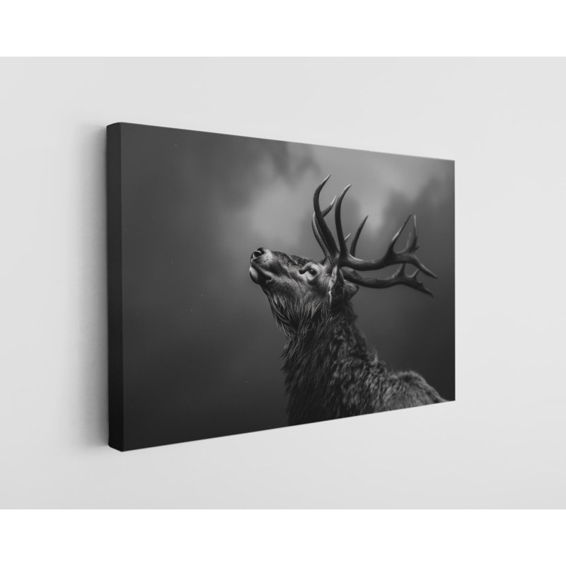 Reproduction sur toile de haute qualité en noir et blanc d'un élan - Art mural - Art mural - Cadeau, H 16 po x l 24 po