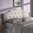 Avinsh King Size Grayish Beige Upholstered Nail Head Trim Headboard, 55.26" H X 78.29" W X 2.56" D-262794689-262794691
