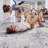 Lint-free, stylish, stain-resistant area rug-128555000