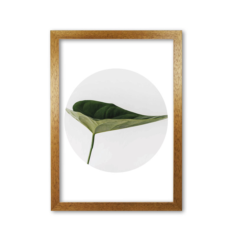 Doc Leaf - Print, Honey Oak Frame, 42 cm H x 30 cm W x 5 cm D