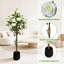 150 cm Lifelike Artificial Rose Tree – Realistic White Flowers, Thick Trunk, Decorative Faux Potted Topiary for Indoor/Outdoor Home & Office – Black Round Belly Pot-671618745