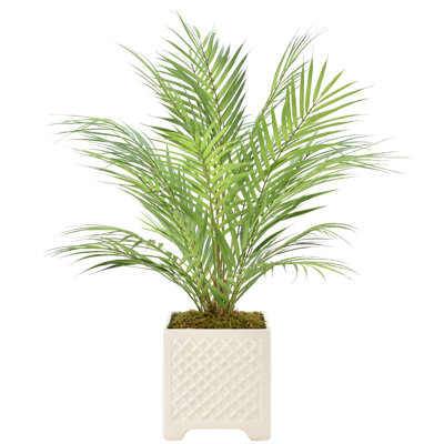 Akeyah Faux Palm Plant in Fiberstone Pot