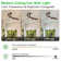 52in. 3-blades Woodgrain Finish Dimmable Changeable 3000k/4000k/5000k Led Ceiling Fan With Remote Control