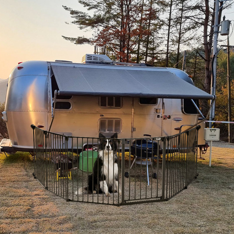 Rexford Metal Free Standing Pet Gate With Door