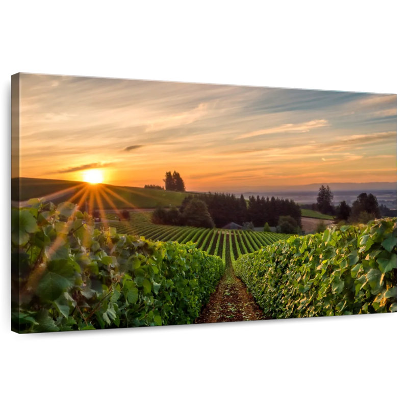 Alvord Willamette Vineyard, H 20 po x l 30 po