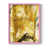 Rose est en rupture de stock