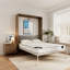 Grand lit escamotable avec 2 armoires de rangement, lit mural peu encombrant pour salle polyvalente-131766416-146662864