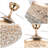 Dauna 42'' Ceiling Fan with LED Lights-131289680