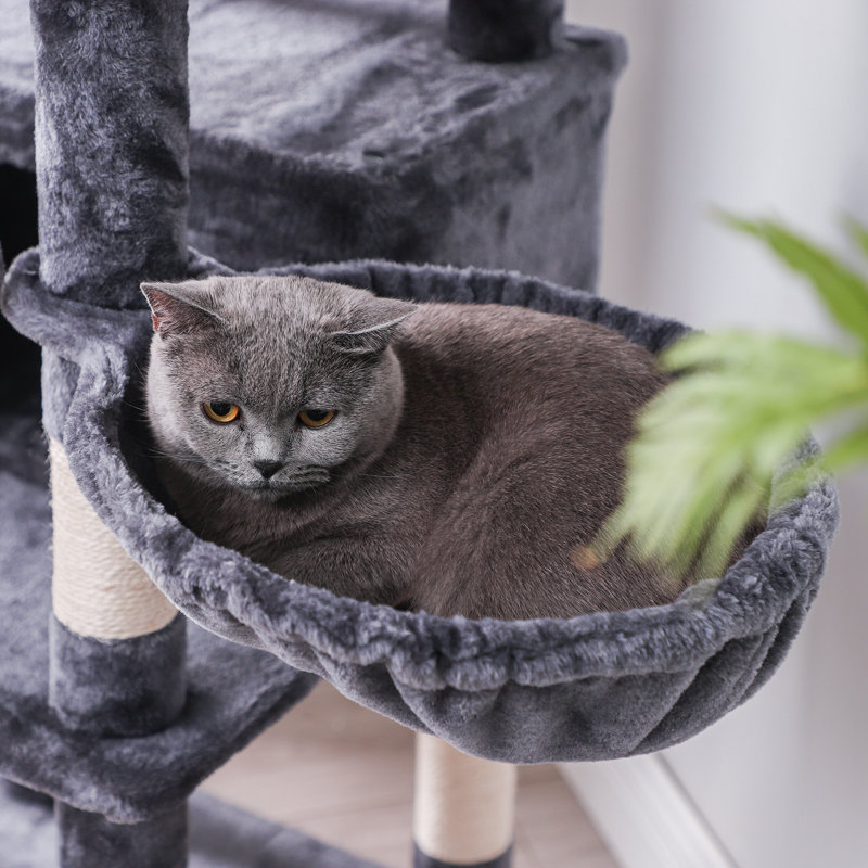 habitation pour chat 66 "McCurry, Gris fumé