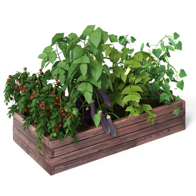 Isan Wood Raised Garden Bed