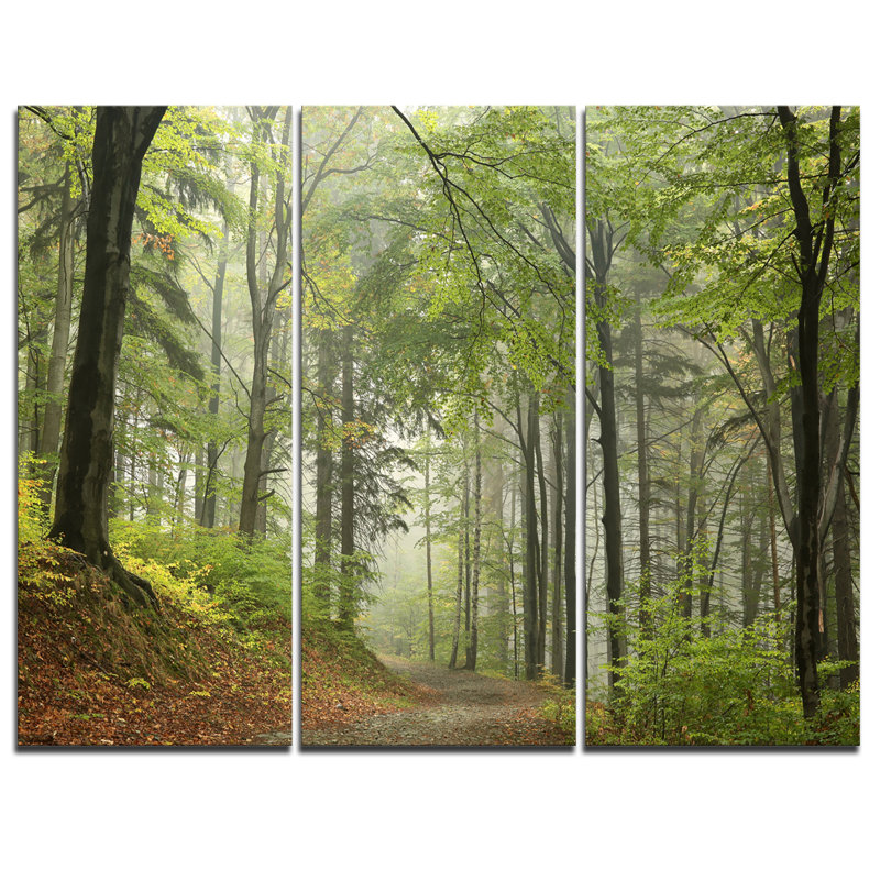 "green beach forest chemin" , impression sur toile tendue