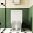 15.55 In Comfort Height Ceramic Toilet, 1.1/1.6 Flush, White, Soft Close Seat, & One White Height, Flushing, Approved