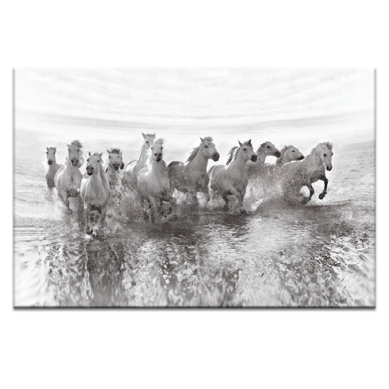 Weiße Pferde im Meer White Horses in the Sea 1 Piece Wrapped Canvas Wall Art, 51cm H x 76cm W, Wrapped Canvas