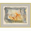 Searching For Roots Print by Jill Krasner