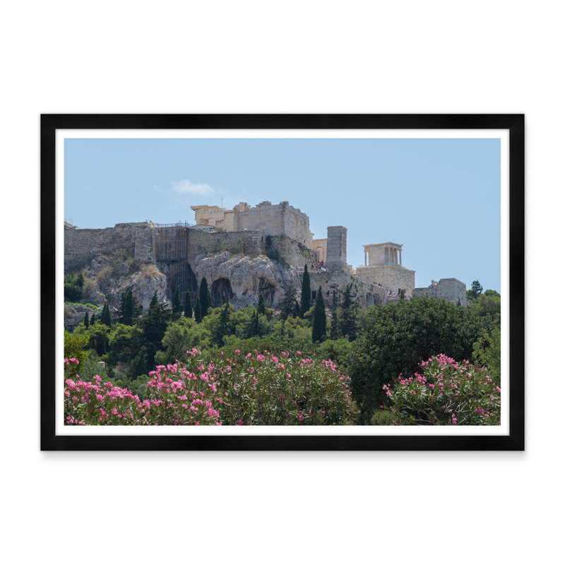 Acropole florale, H 29 po x l 42 po x P 1,5 po, Noir