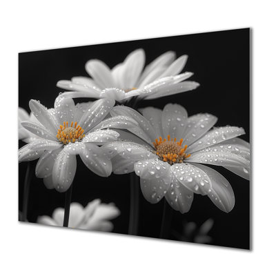 Monochrôme noir et blanc, bonheur, photo III - marguerites, art mural