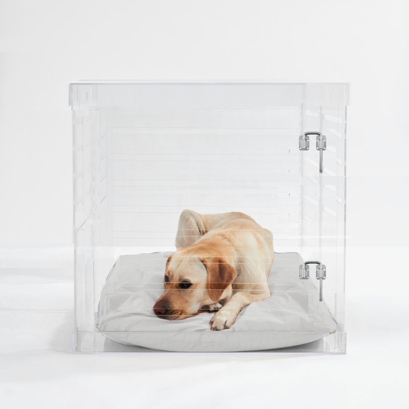 Grande cage pour animal de compagnie avec loquet argenté, Lin lin