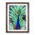 Walnut Framed
