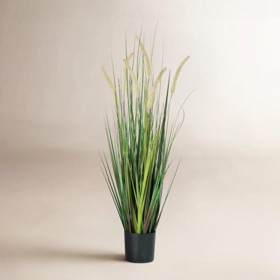 Faux Dogtail Grass in Pot