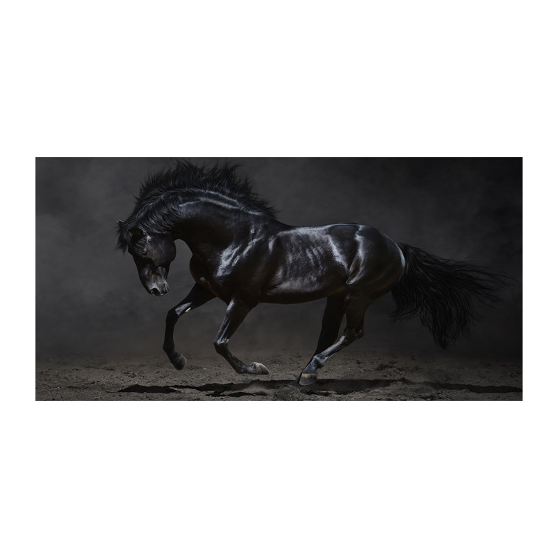 Black Horse - Wrapped Canvas Print