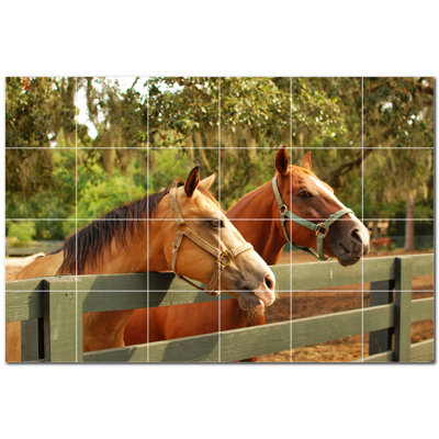Photo de cheval 12 x 12