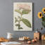 Antique Botanical Collection VI - reproduction-2069093314