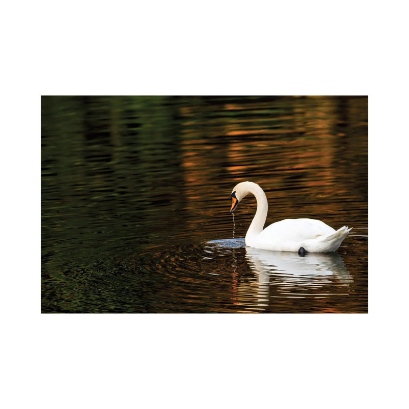 Autumn Reflections by David Gardiner - Wrapped Canvas Print, 20.32cm H x 30.48cm W
