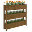 Vertical Garden-336805638
