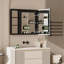 Armoire murale à miroir encastrée ou à fixation murale en surface 30 po Jasamine-1902349302-1902349303
