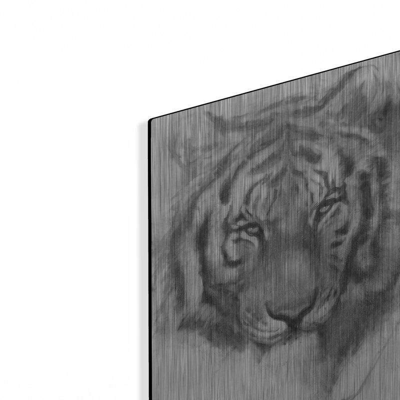"Portrait d'un tigre" par Robert Campbell, H 16 po x l 12 po