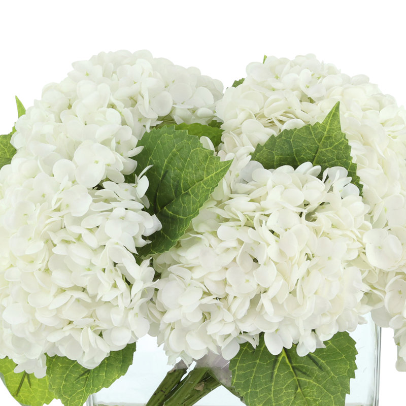 Véritable hydrangée dans un vase en verre, Blanc