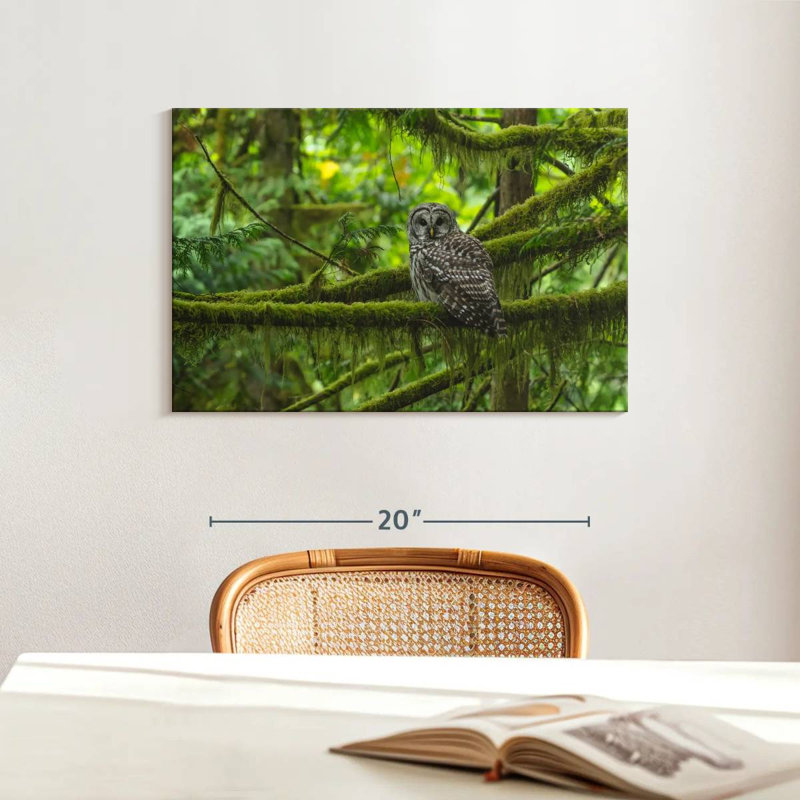 Brampt Mossy Tree Owl, 16" H x 24" W