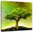 Harnek Green Bonsai Tree