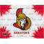 « NHL », impression sur toile-106006918-18733622