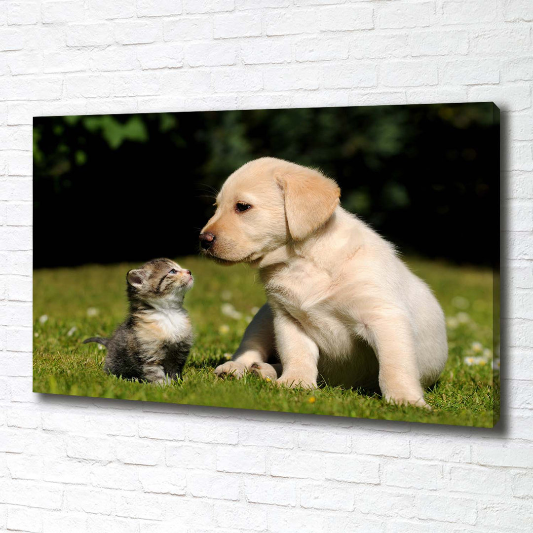 Hund und Katze auf der Wiese - Kunstdrucke auf Leinwand