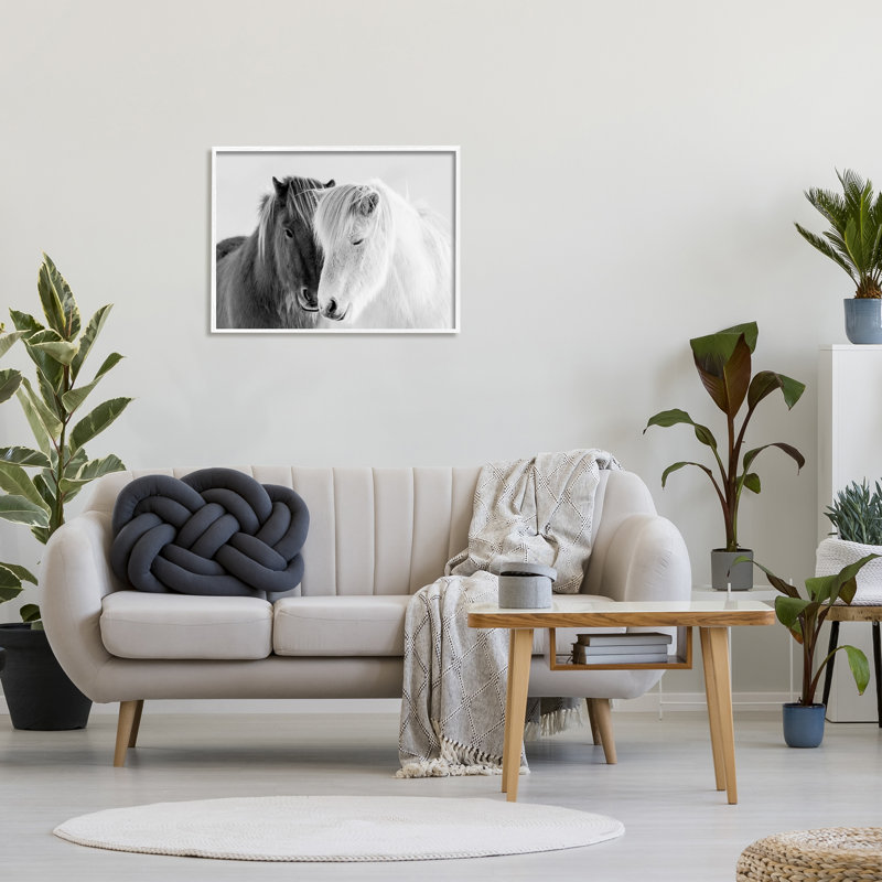 «Wild Horse Animal pair», photographie du sud-ouest sur blanc surdimensionnée, giclée sur blanc, art texturé par Danita Delimont