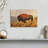 Wild Bison On The Field-440172409