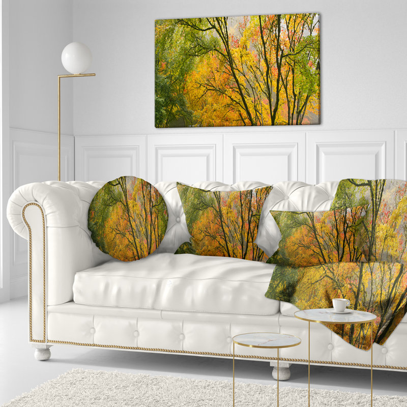 Coussin Canopy of Maple Trees in Fall