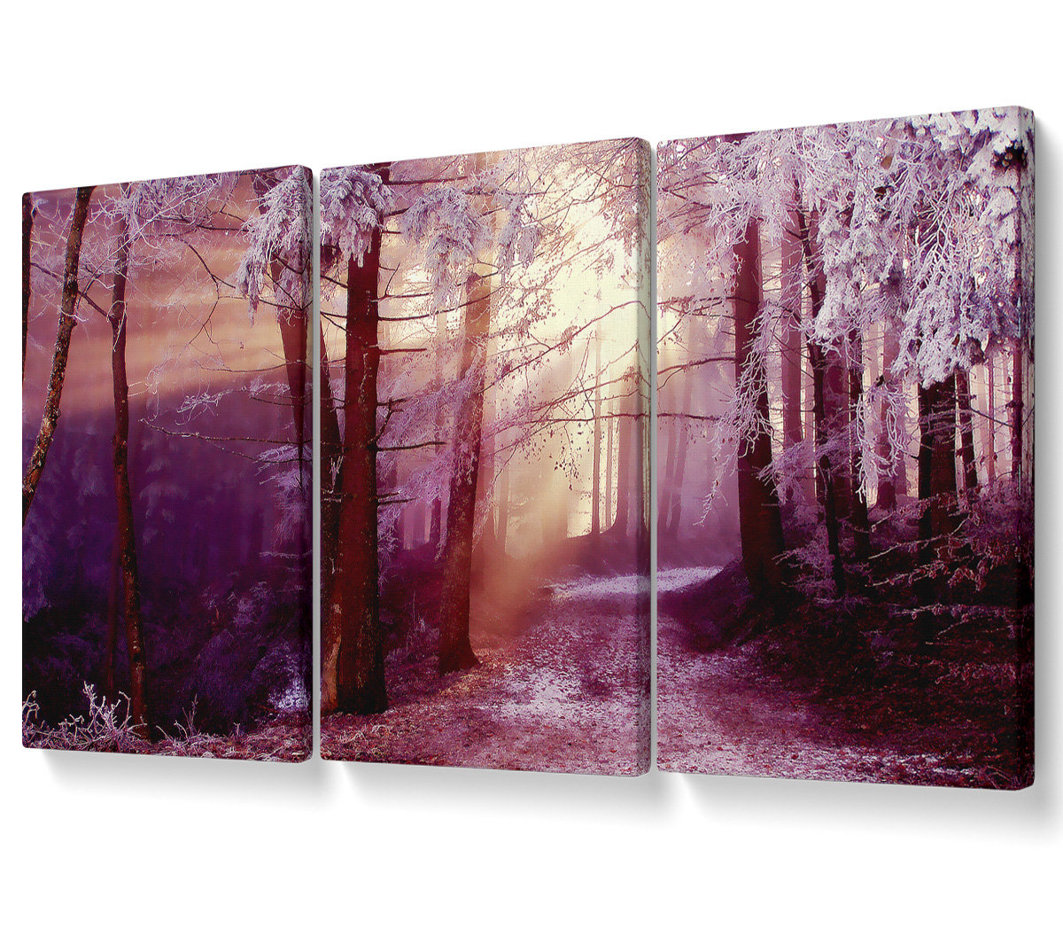 Union Rustic Winter Woodland Sunbeam - 3 Piece Wrapped Canvas Graphic ...