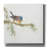 'Finch' by Chris Paschke, Canvas Wall Art-908138549