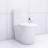 Elongated Bathroom Toilet With Powerful Flush And Easy Clean Feature High-Performance Soft-Close