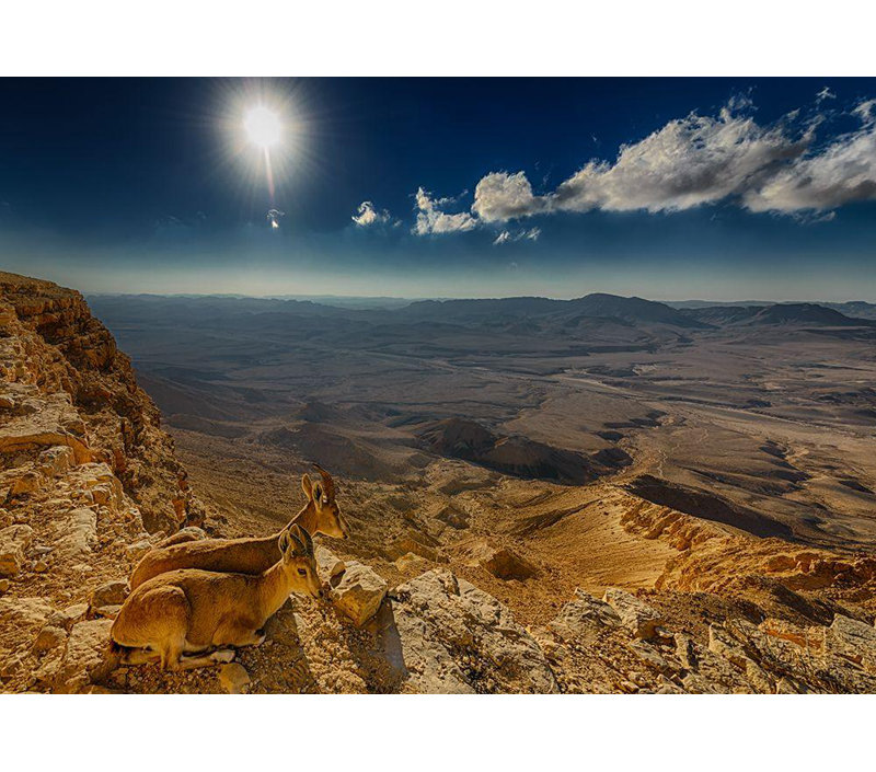 Red Barrel Studio® Meirovich, Ido Gallery Wrapped Canvas Art Titled: Morning View, 35" H x 48" W