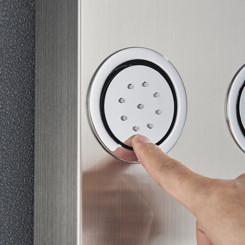 Panneau de douche 48 po avec pomme de douche double, Noir mat