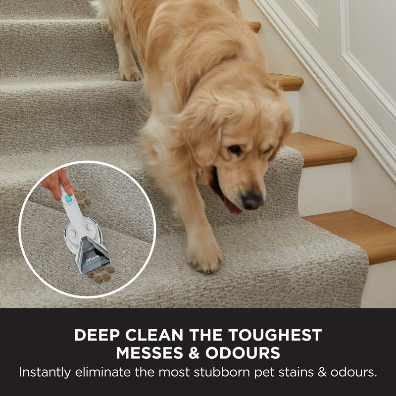 Shark CarpetXpert Deep Carpet Cleaner with Built In StainStriker - EX200UK
