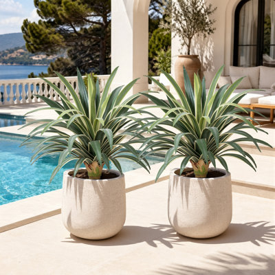 18" Artificial Yucca Single Stem | Hand Layered Leaves for Realistic Look, UV Resistant Faux Plant for Indoor Outdoor, 2 Pack