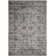 Spragueville Oriental Viscose Hand Woven Area Rug