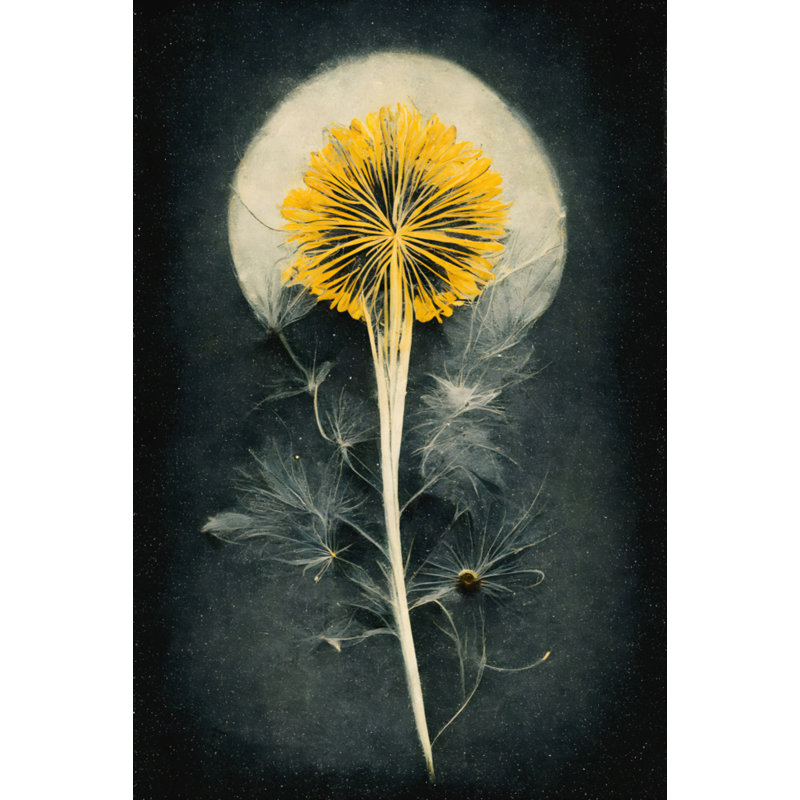 Wrapped Canvas Print, 121.92 cm H x 81.28 cm W