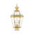 Arelene Lantern Head-21132019