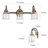 Connie-Agnes 3 - Light Dimmable Vanity Light
